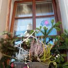 Das Fenster zum Advent