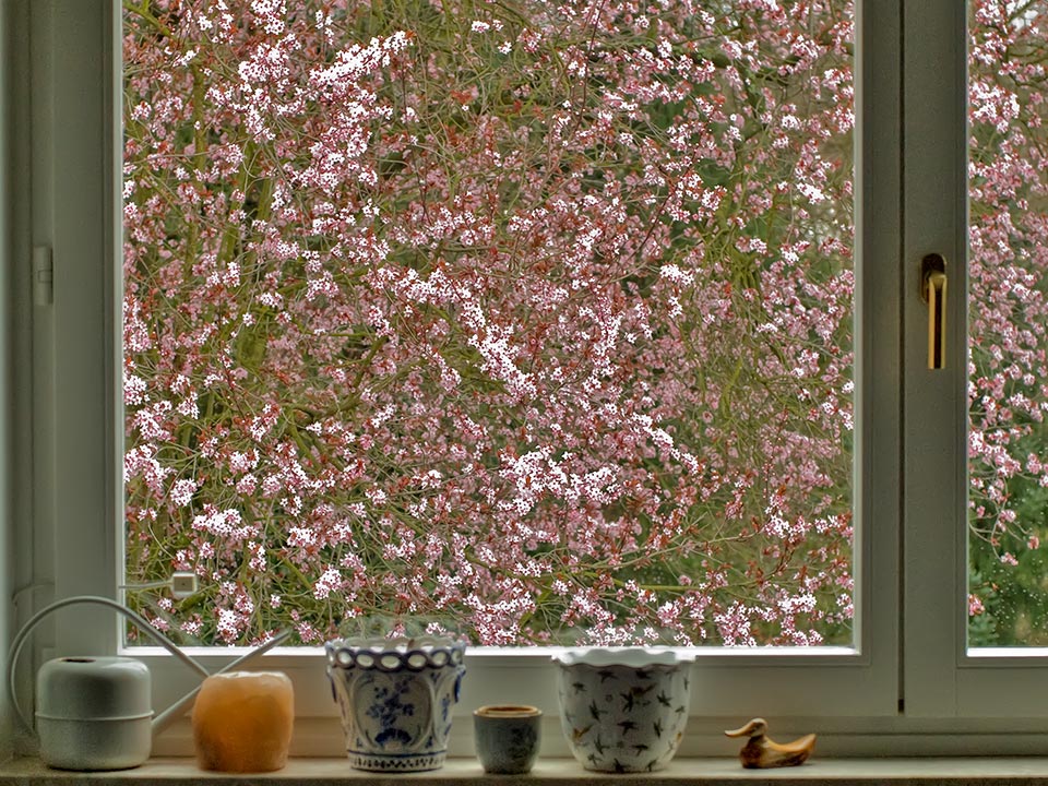 Das Fenster zum Frühling