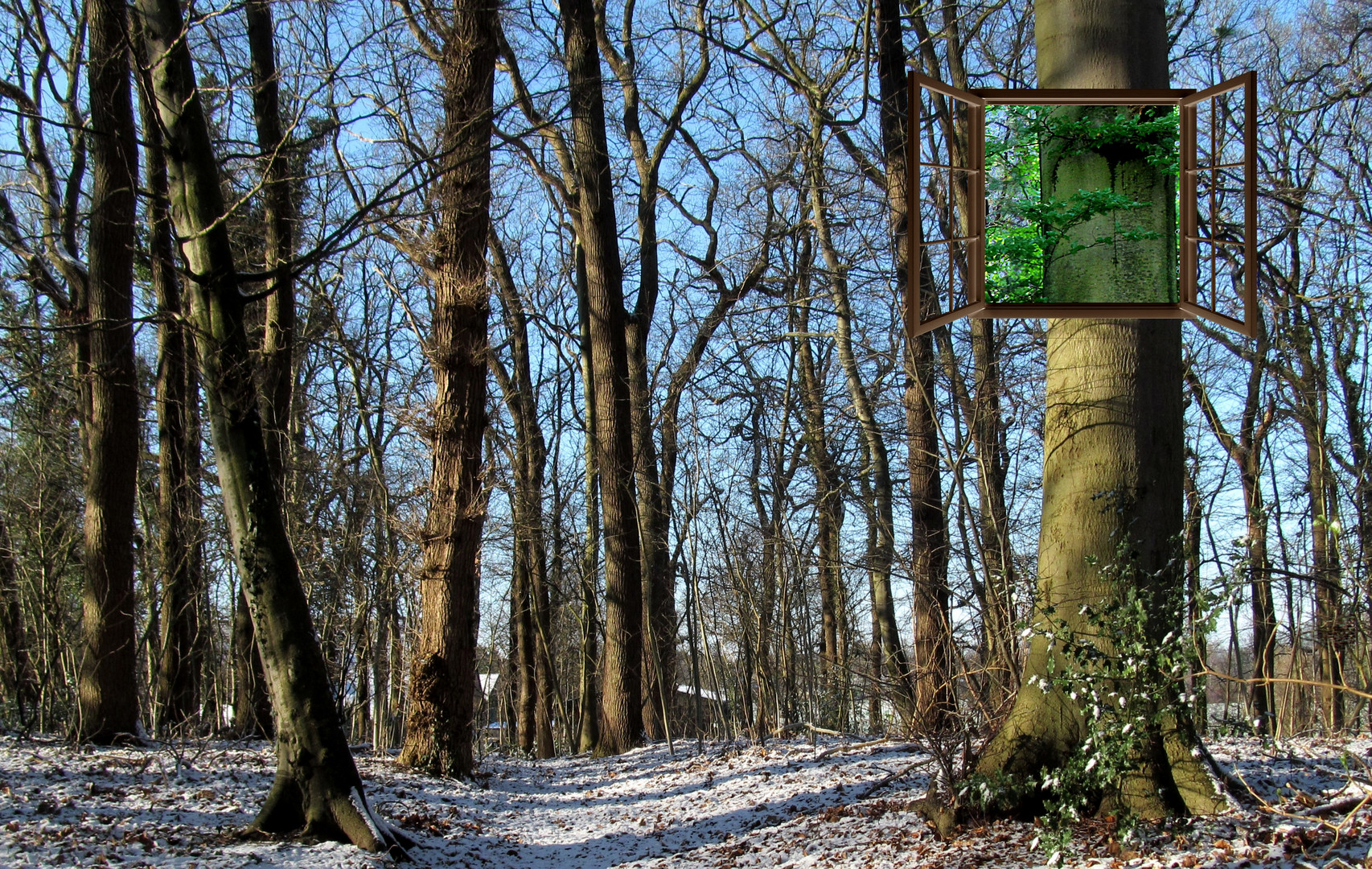 das Fenster zum Frühling ...