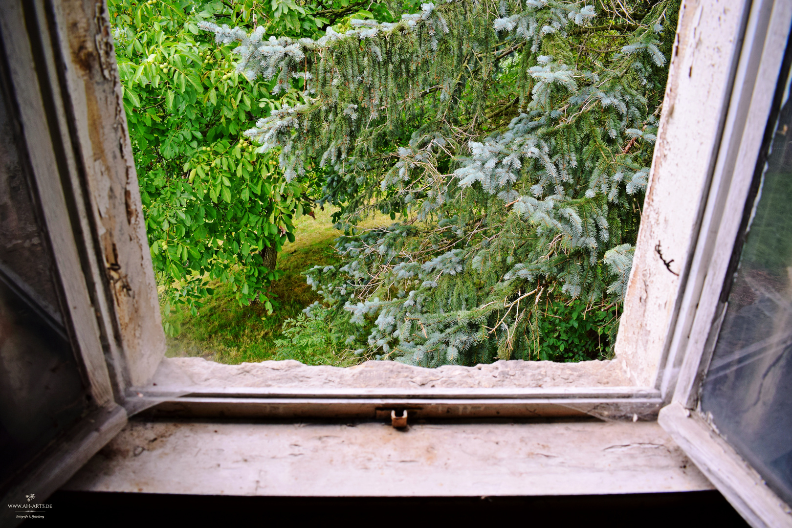 Das Fenster zum Garten