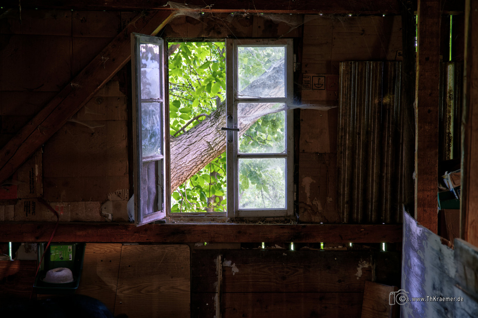 Das Fenster zum Garten - C1-D85_7227