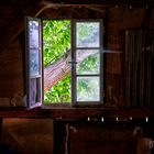 Das Fenster zum Garten - C1-D85_7227