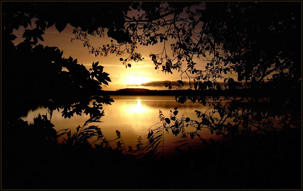 Das Fenster zum goldenen See