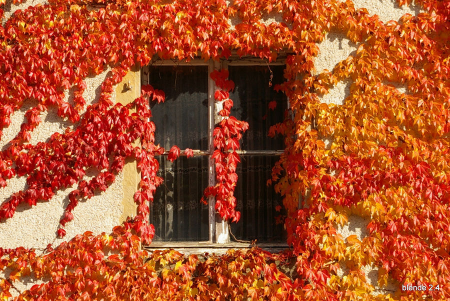 Das Fenster zum Herbst Foto & Bild | jahreszeiten, herbst, natur Bilder