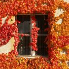 Das Fenster zum Herbst