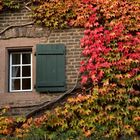 das Fenster zum Herbst