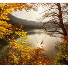 Das Fenster zum Herbst