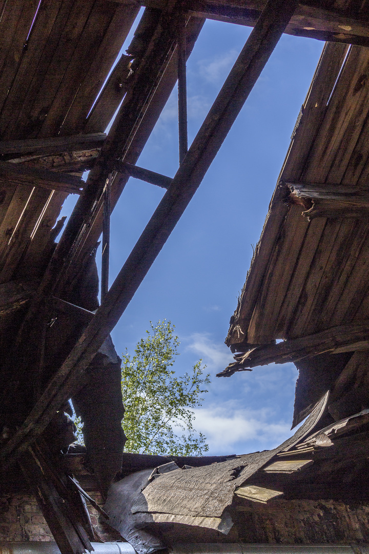 Das Fenster zum Himmel