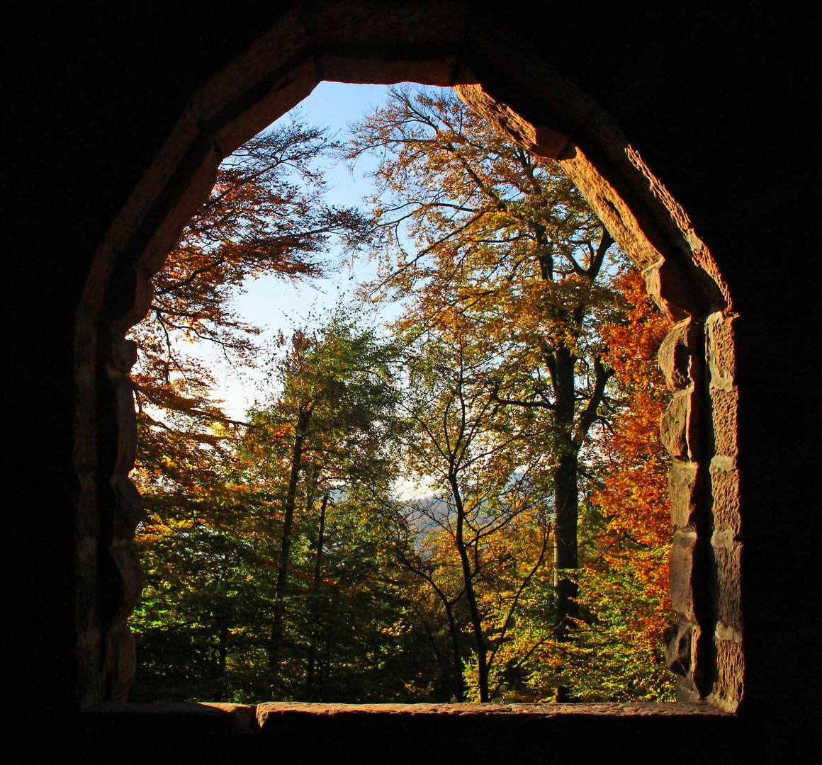 Das Fenster zum Hof....