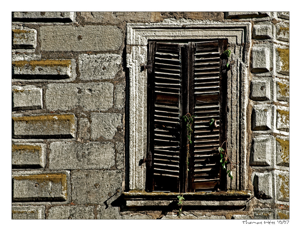 Das Fenster zum Hof