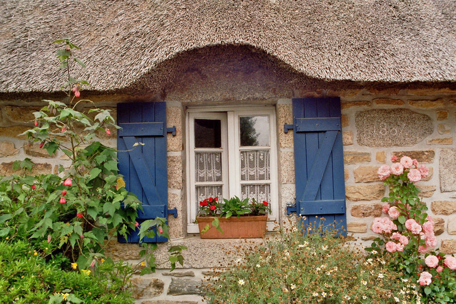 Das Fenster zum Hof