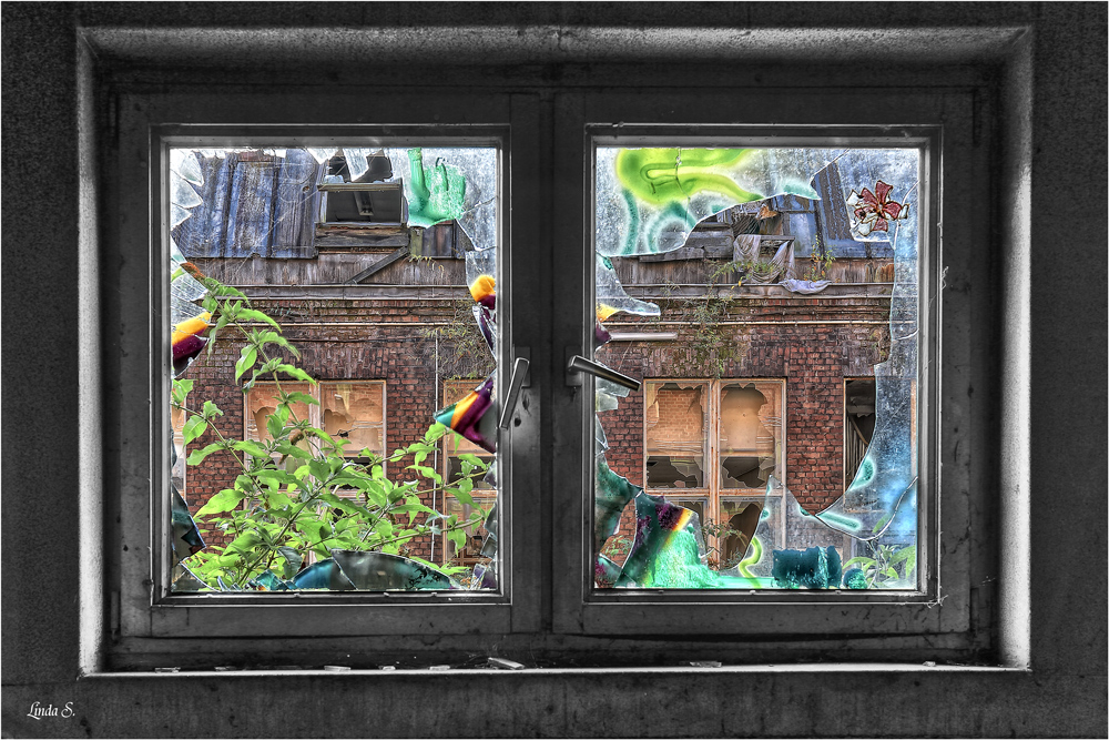 das fenster zum hof