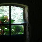 Das Fenster zum Hof