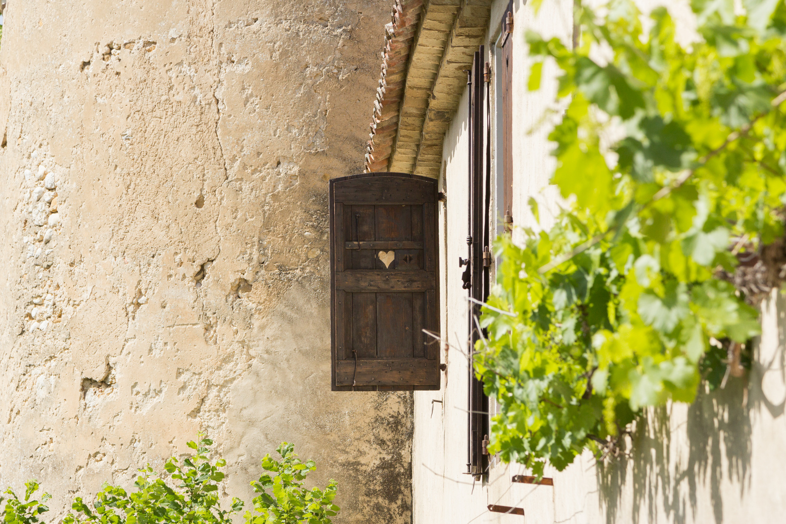 Das Fenster zum Hof