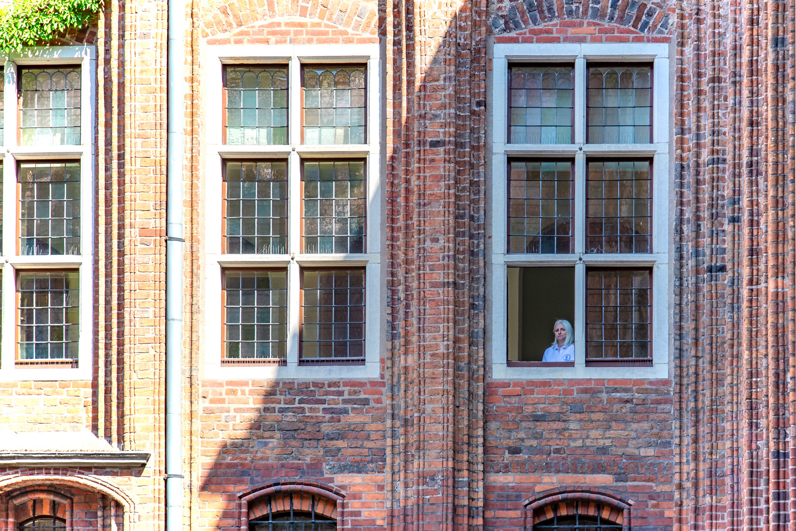 Das Fenster zum Hof