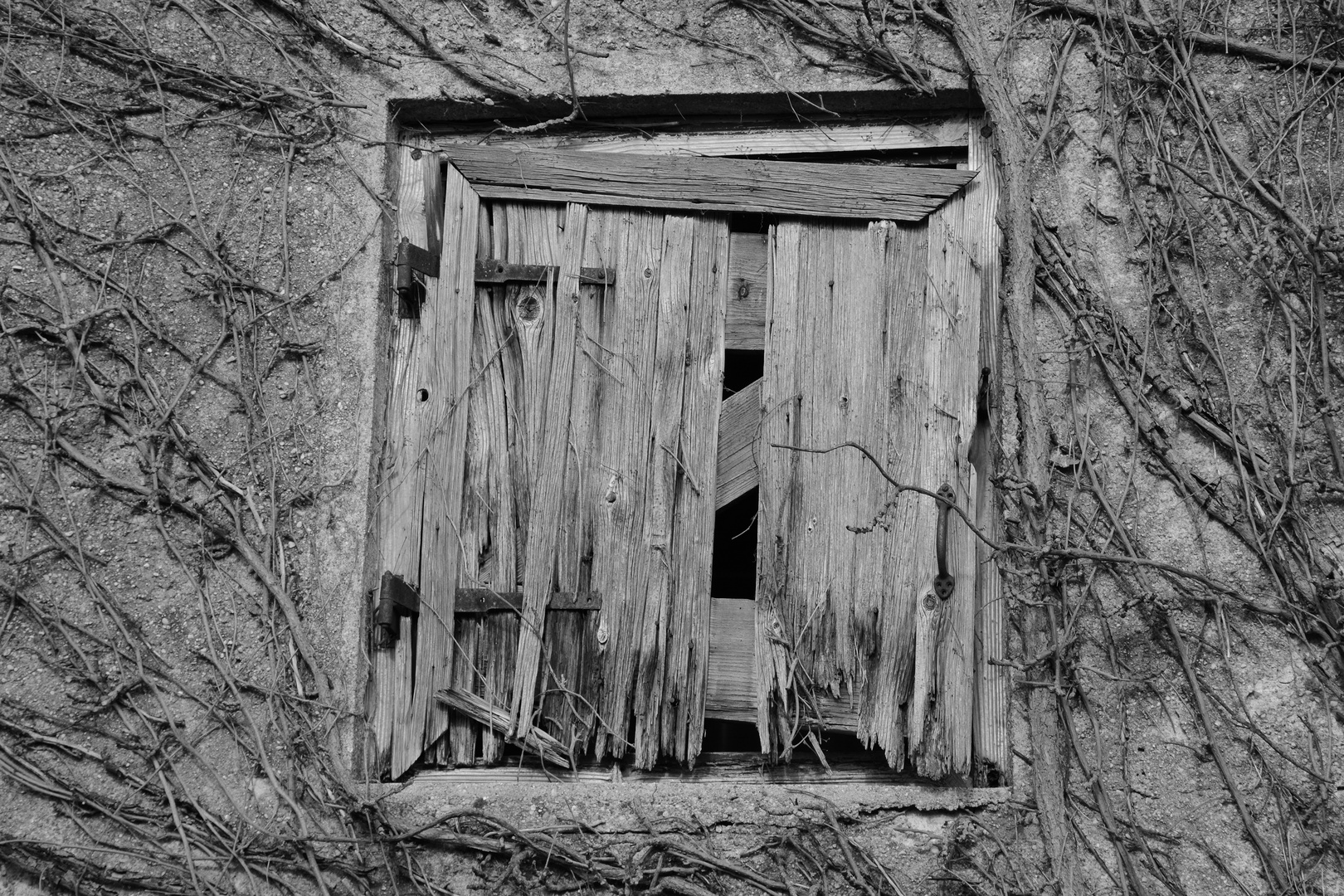 Das Fenster zum Hof