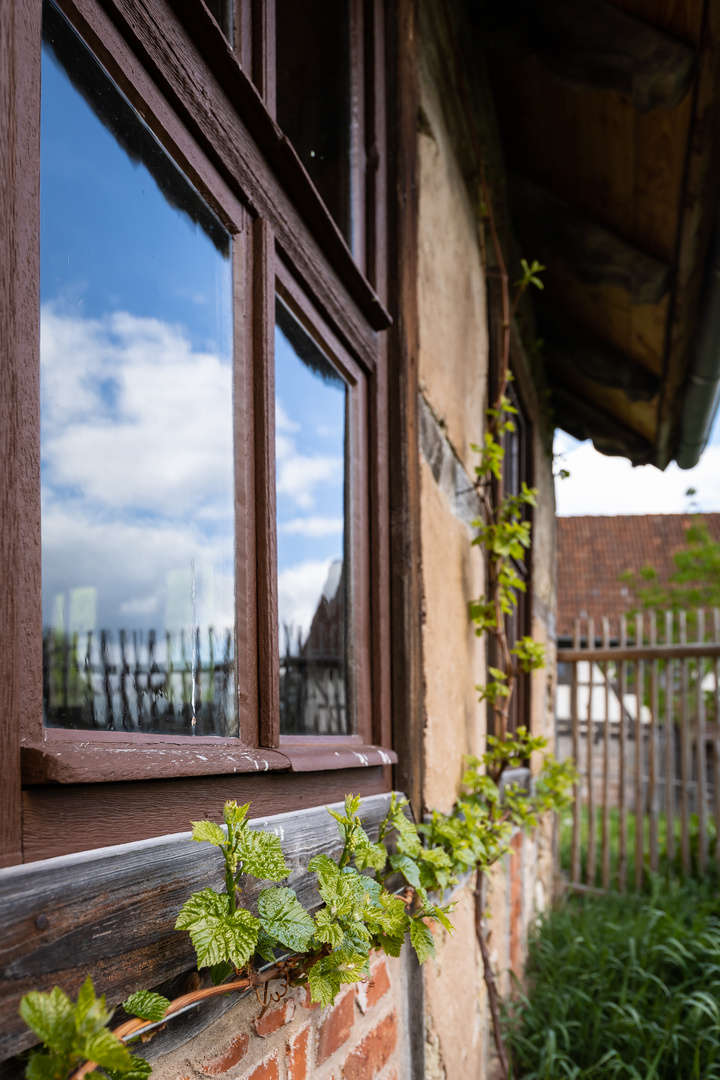 Das Fenster zum Hof