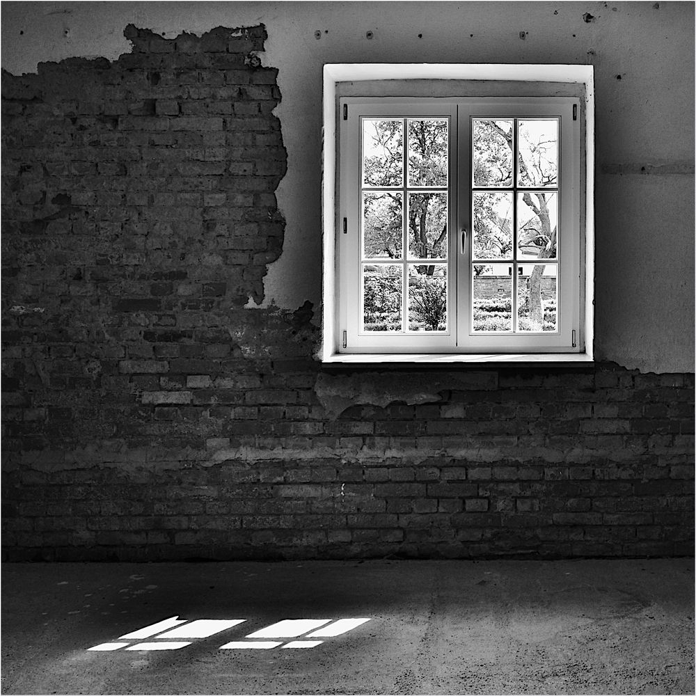 Das FENSTER zum Hof Foto & Bild architektur, projekte, profanbauten Bilder auf