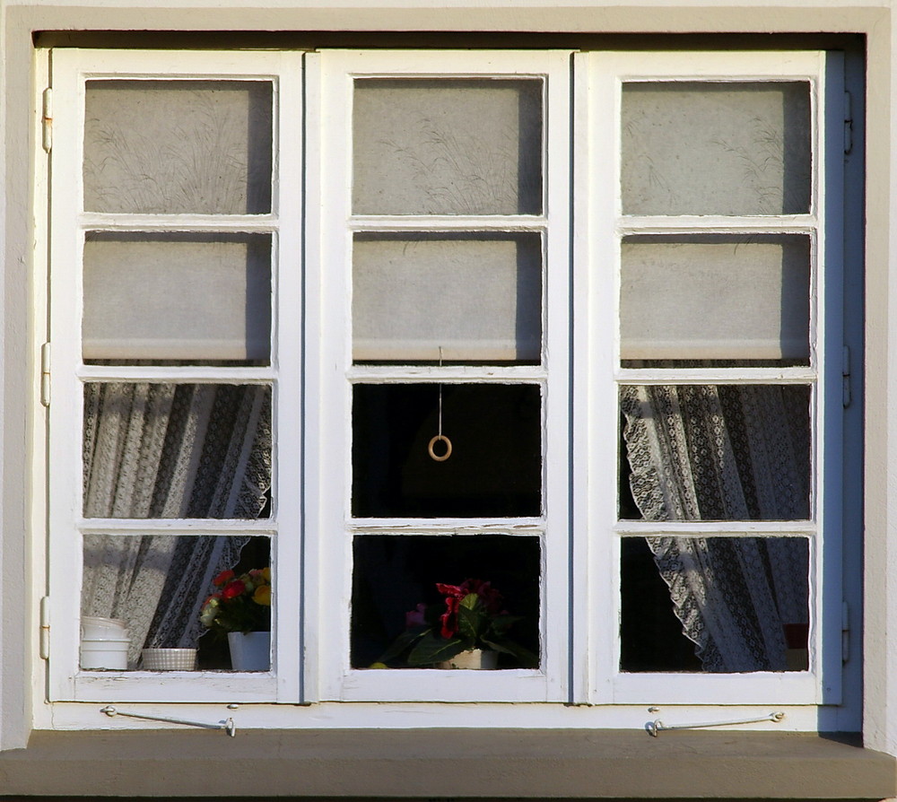 Das Fenster zum Hof