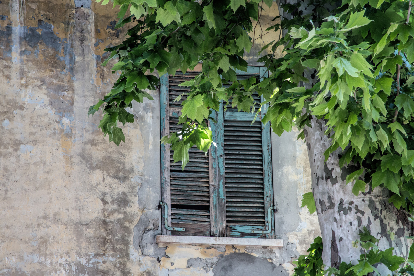 das Fenster zum Hof