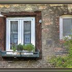  Das Fenster zum Hof