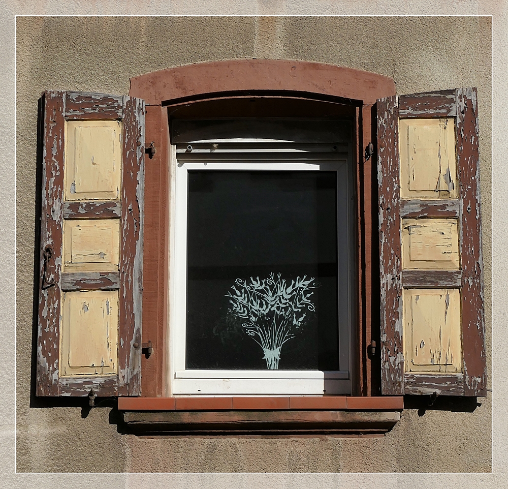 Das Fenster zum Hof 