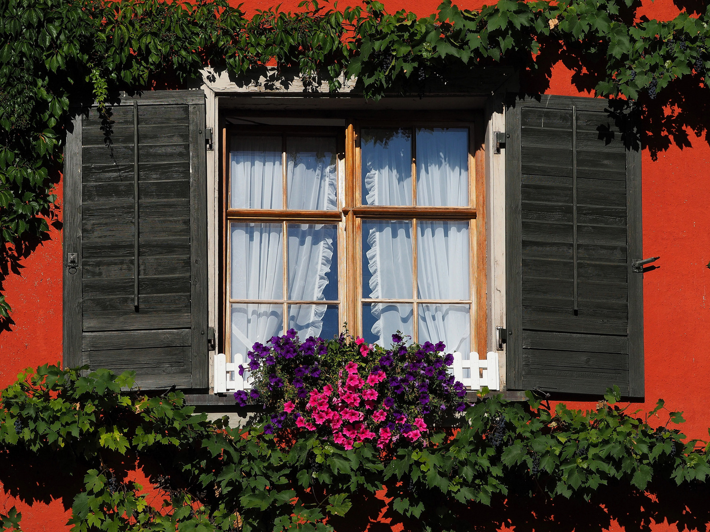 das Fenster zum Hof