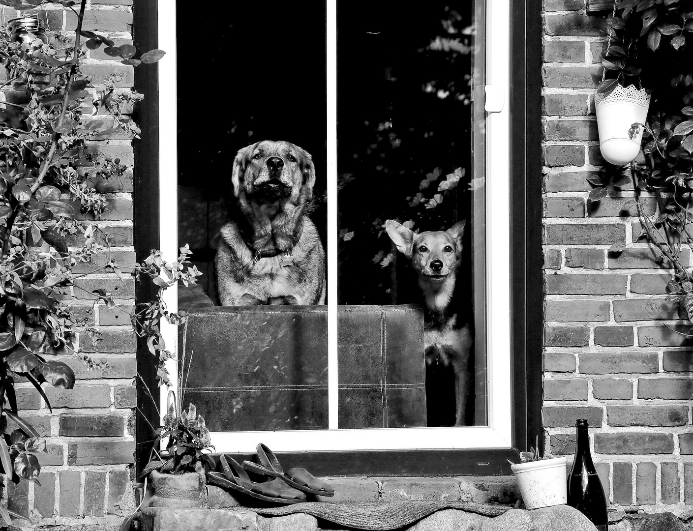 Das Fenster zum Hof