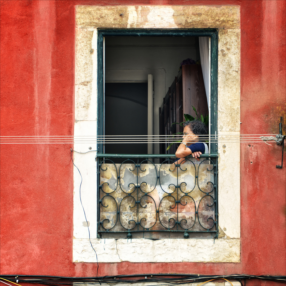 Das Fenster zum Hof Foto & Bild dokumentation, reportage