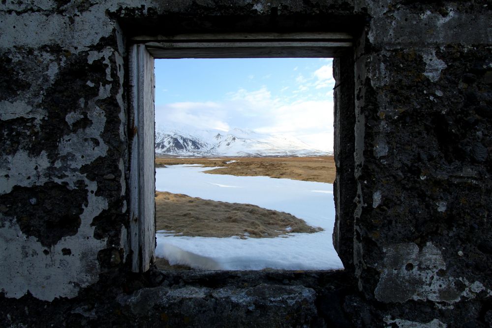 Das Fenster zum Hof