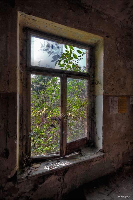 Das Fenster zum Hof