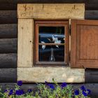 Das Fenster zum Hof