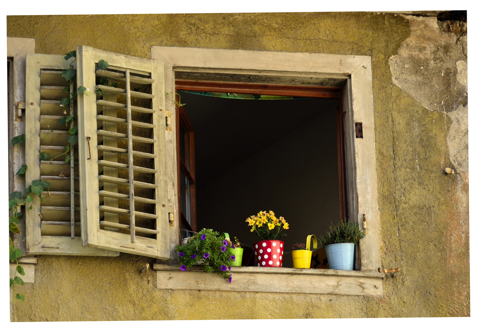 das fenster zum hof