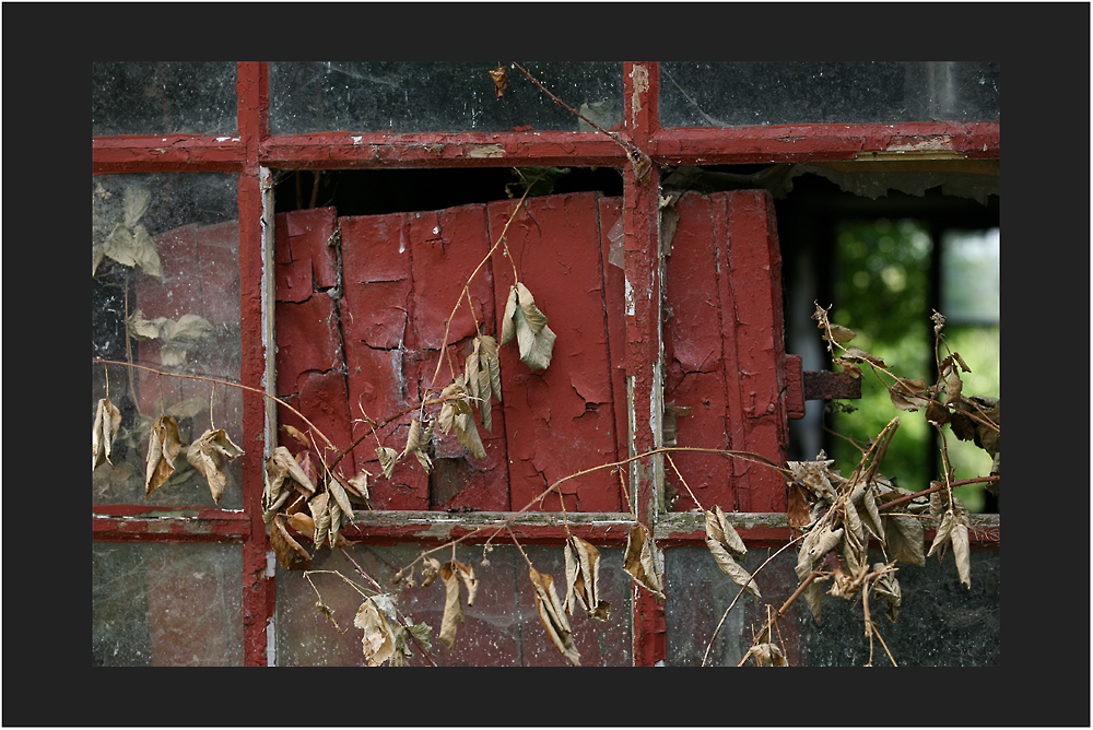 das Fenster zum Hof