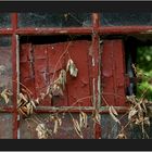 das Fenster zum Hof