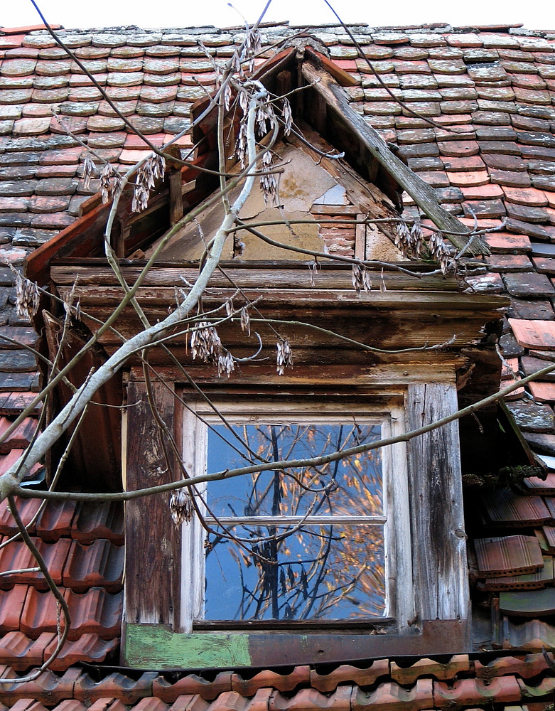 Das Fenster zum Hof