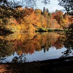 DAS FENSTER ZUM SEE