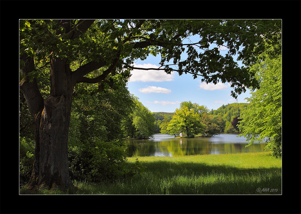 Das Fenster zum See