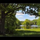 Das Fenster zum See