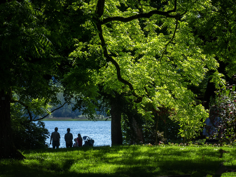 Das Fenster zum See