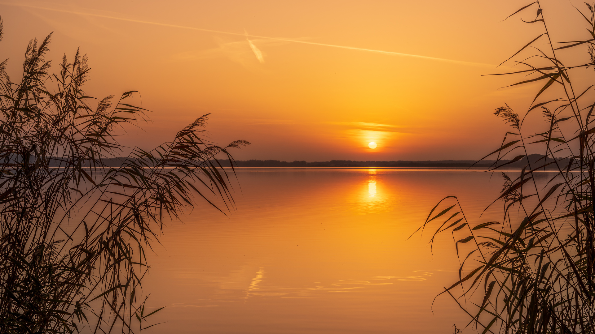 Das Fenster zum See