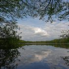 Das Fenster zum See