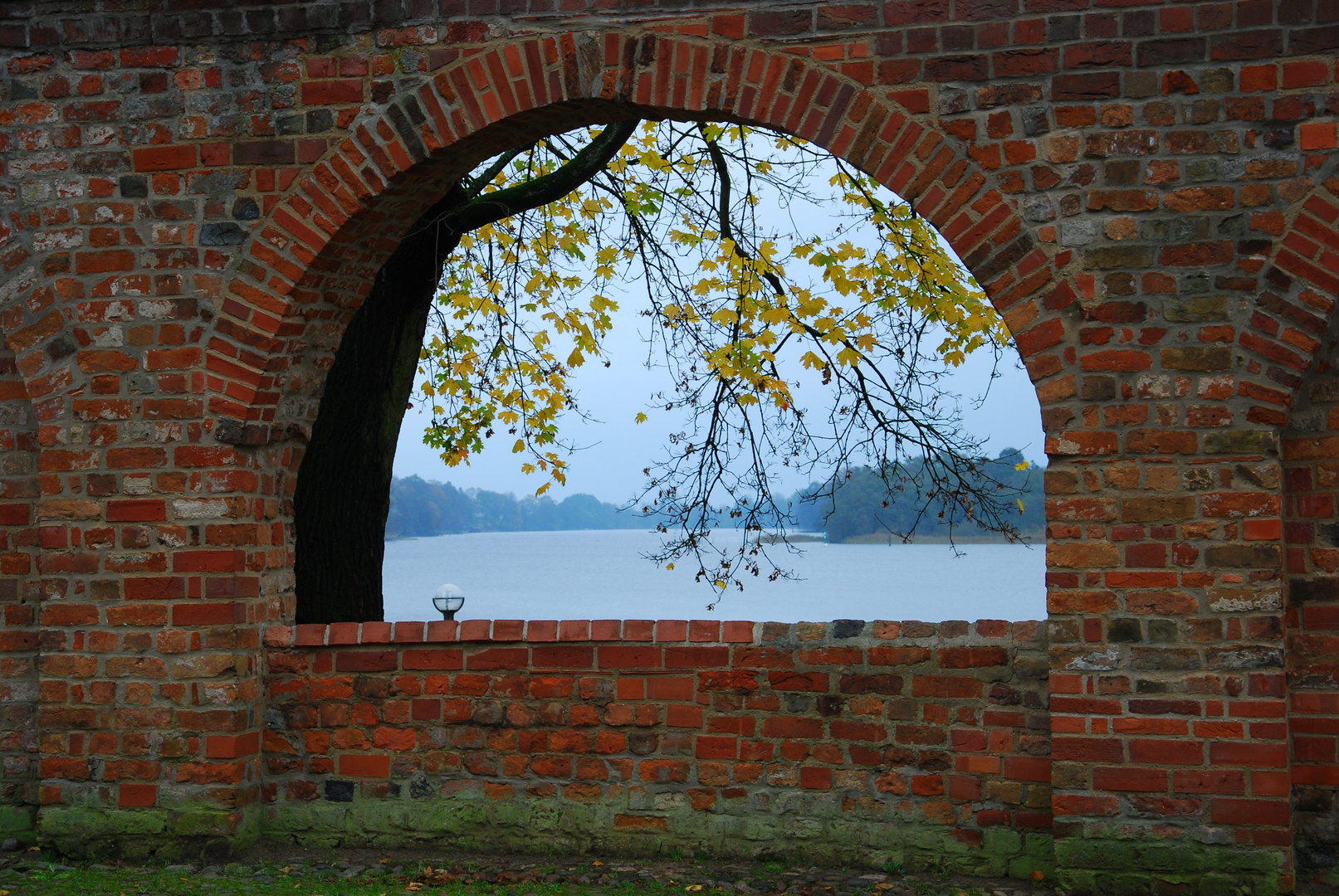 Das Fenster zum See