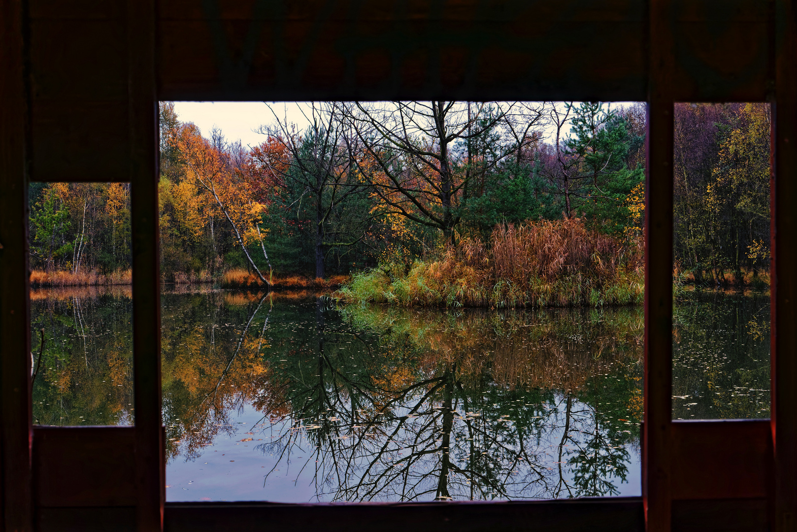 Das Fenster zum Teich ...