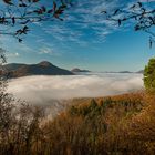 Das Fenster zum Trifelsland