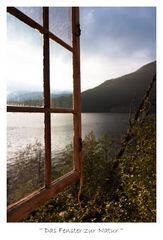 Das Fenster zur Natur