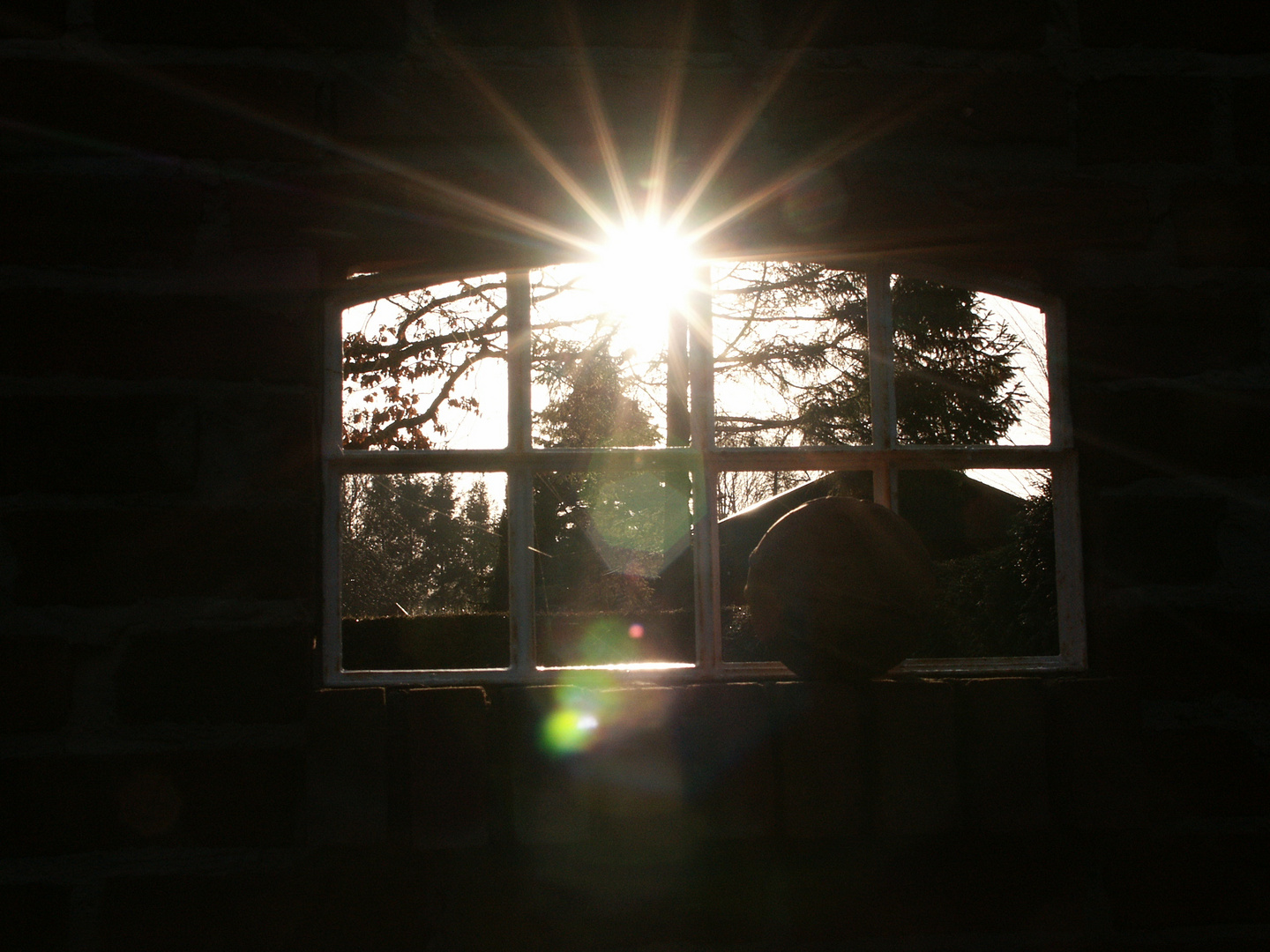 Das Fenster zur Sonne