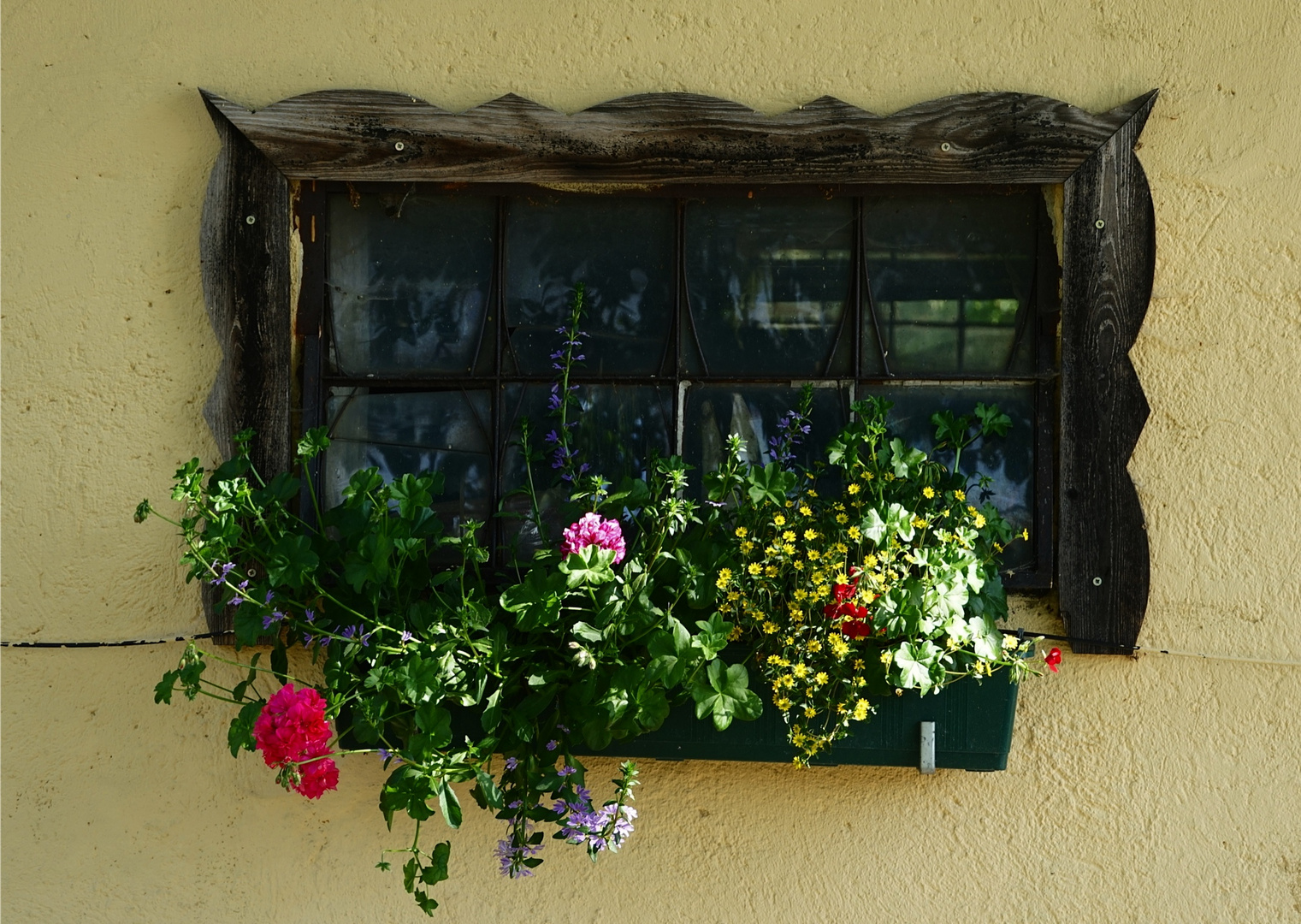 Das Fenster zur Strasse.