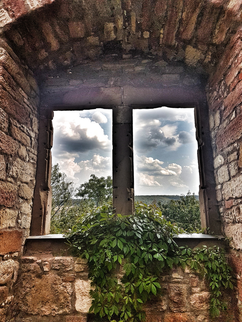 Das Fenster zur Welt 