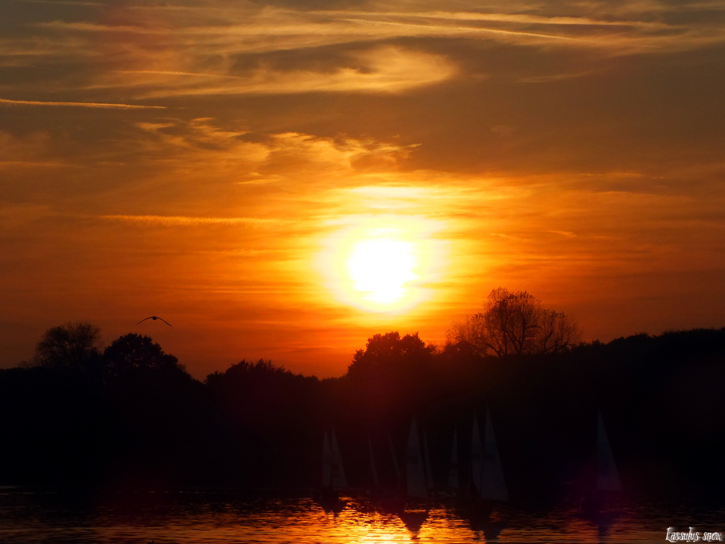 Das Feuer am Himmel und das Wasser 